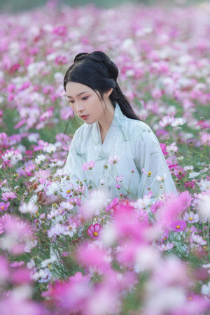 卷席筒全集播放免費