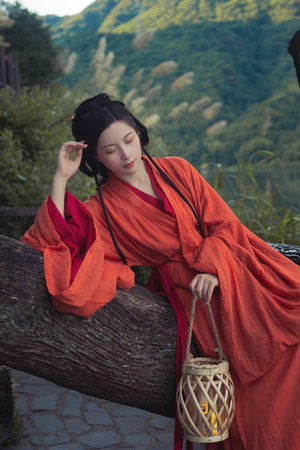 鬢邊不是海棠紅