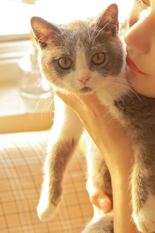 母親把兒子當老公的表現知乎