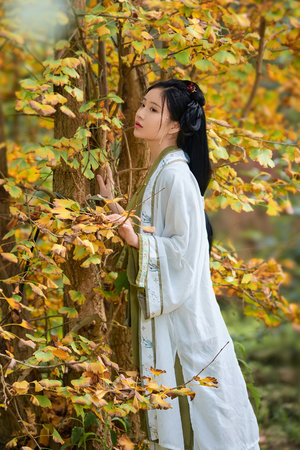 狐妖小紅娘尾生篇