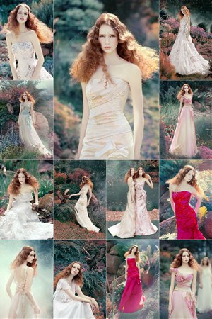 草莓櫻桃榴蓮向日葵綠巨人