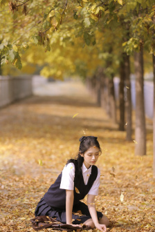 似風吻玫瑰小說全文免費閱讀