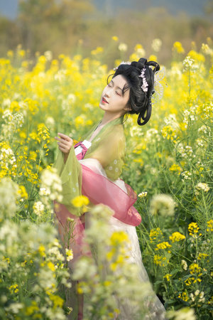 少將的禁忌愛人