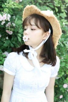 浪漫櫻花動漫觀看高清