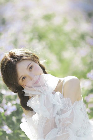 法國滿天星《八尺夫人》在錢