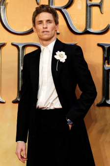 蘑菇在線觀看免費高清電視劇