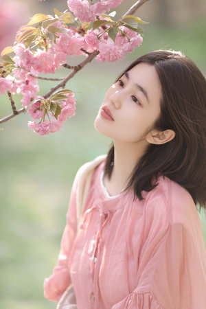 荷蘭電影好朋友