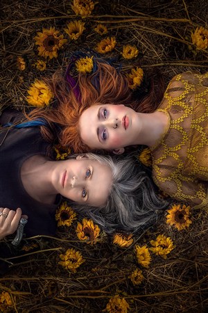 童話免費觀看完整版