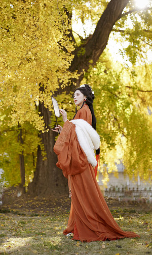 九重紫電視劇免費觀看全集在線播放