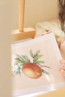 掃黑風暴全集資源網盤