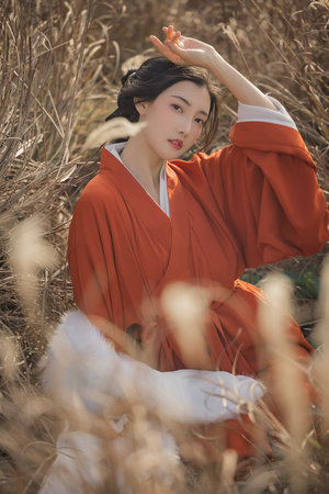 拔出來我是你母親的歌詞小說