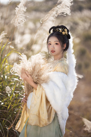 成全在線觀看免費完整的