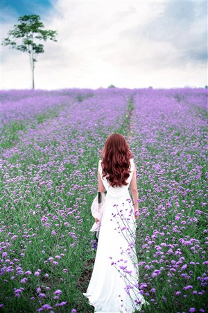 燉大肉合集BY筆趣閣全文閱讀