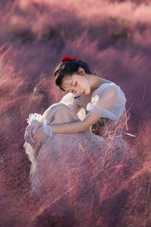 風犬少年的天空免費全集視頻西瓜