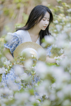 李晟個人資料簡介圖片