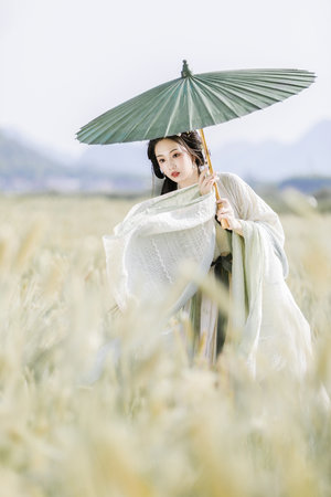 國產又粗又大又黃