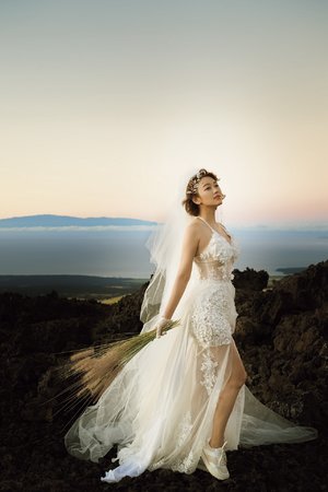 波多野結衣 種子