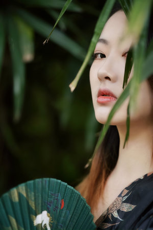 追星星的人在線觀看免費完整版