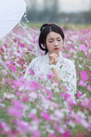 小小影視在線看